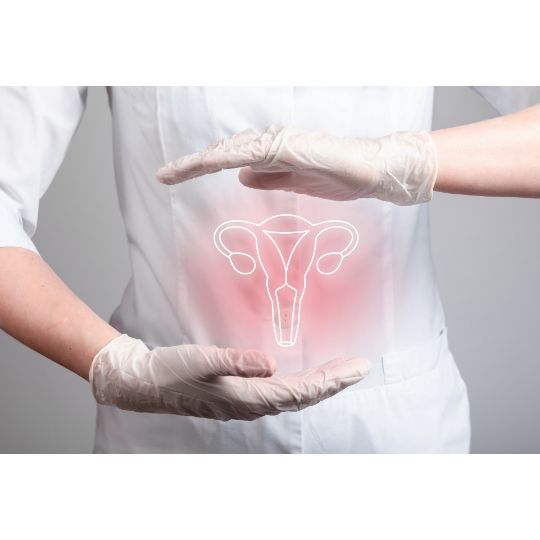 Utérus représenté en surbrillance devant le ventre d'une médecin